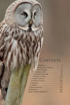 A Birdwatcher’s Guide to Norway | Rejseguide