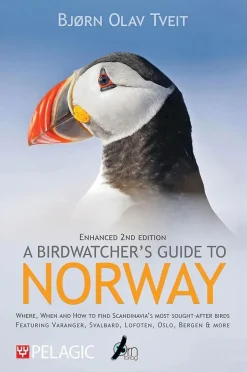 A Birdwatcher’s Guide to Norway | Rejseguide