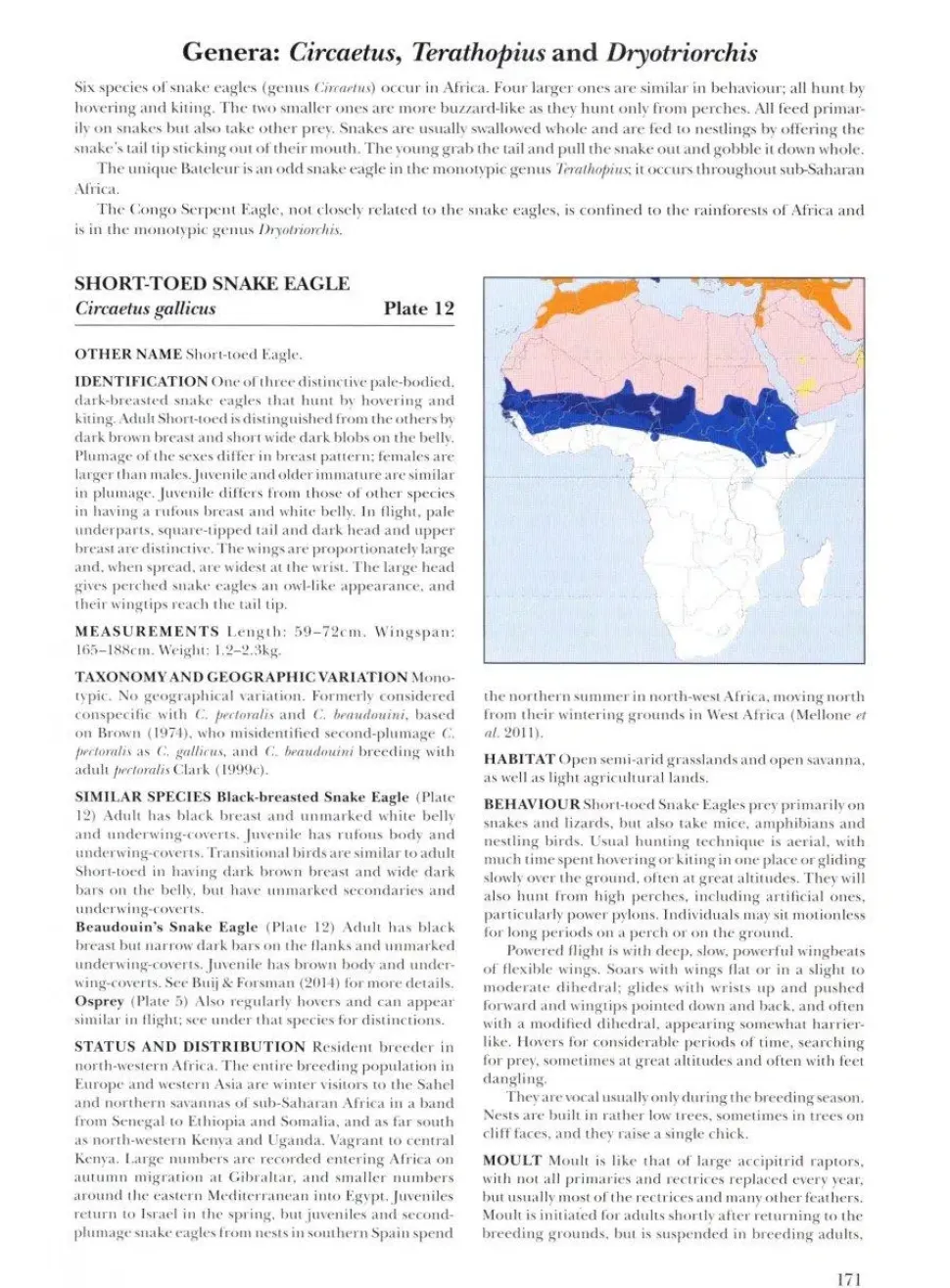 African Raptors | Bog