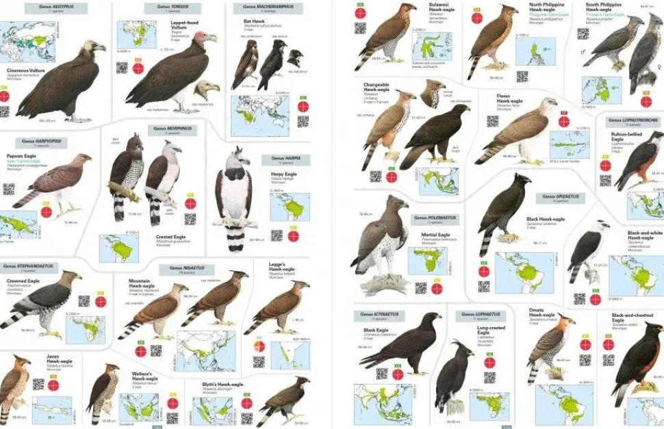 All the Birds of the World af Josep del Hoyo | Bog