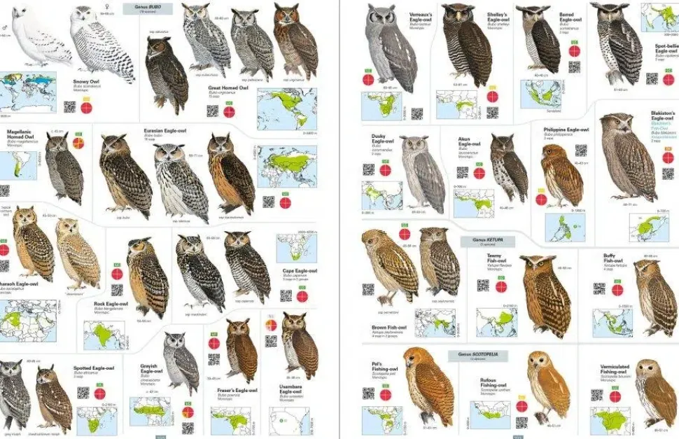 All the Birds of the World af Josep del Hoyo | Bog