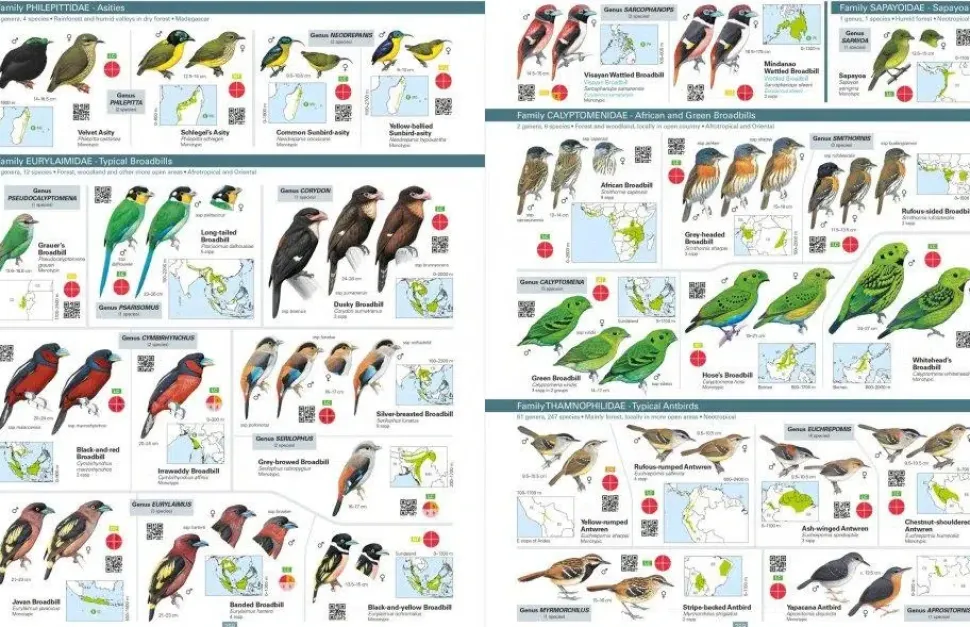 All the Birds of the World af Josep del Hoyo | Bog