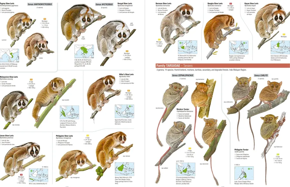 All the Mammals of the World | Bog