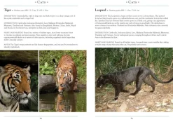 A Naturalist’s Guide to the Mammals of Southeast Asia | Bog