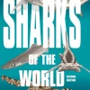 A Pocket Guide to Sharks of the World | Bog