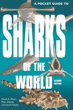 A Pocket Guide to Sharks of the World | Bog