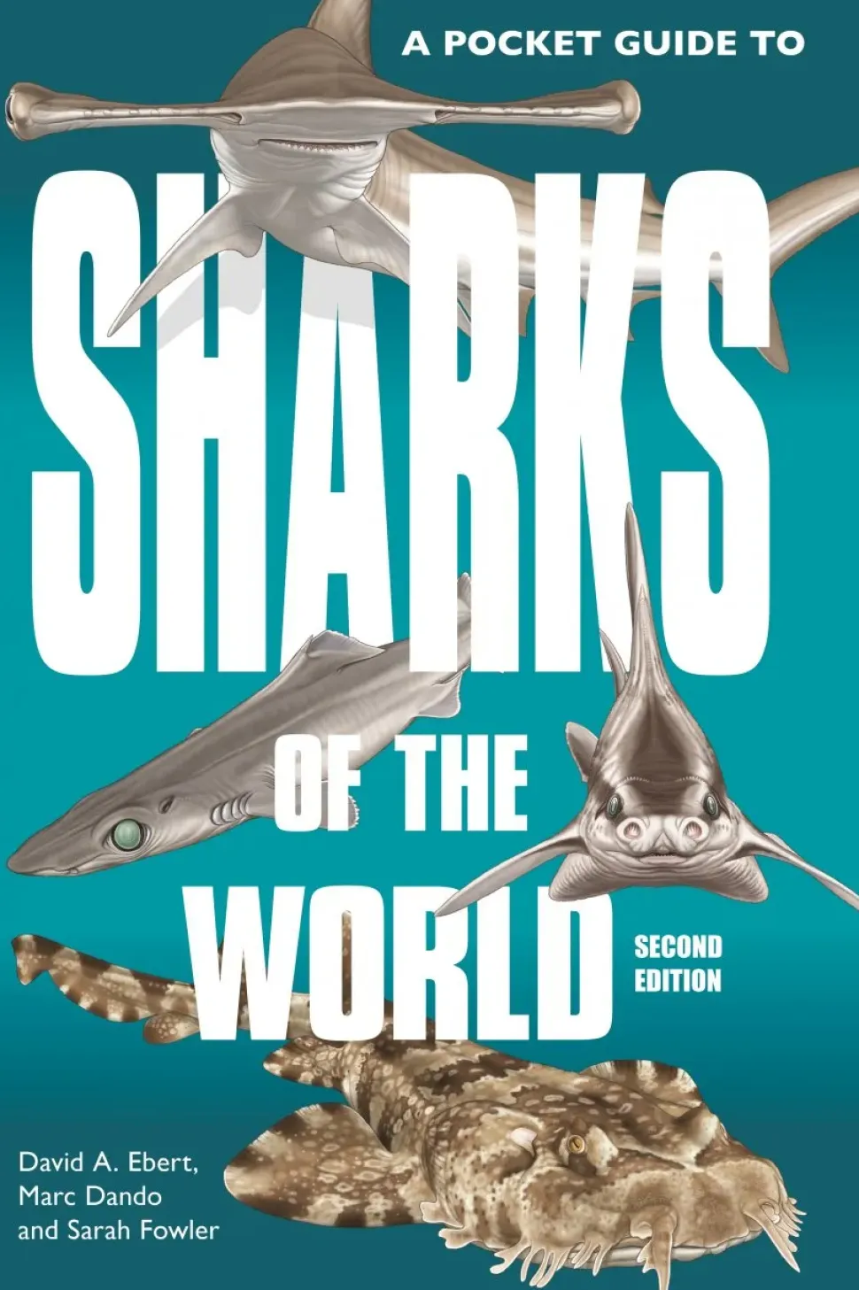 A Pocket Guide to Sharks of the World | Bog