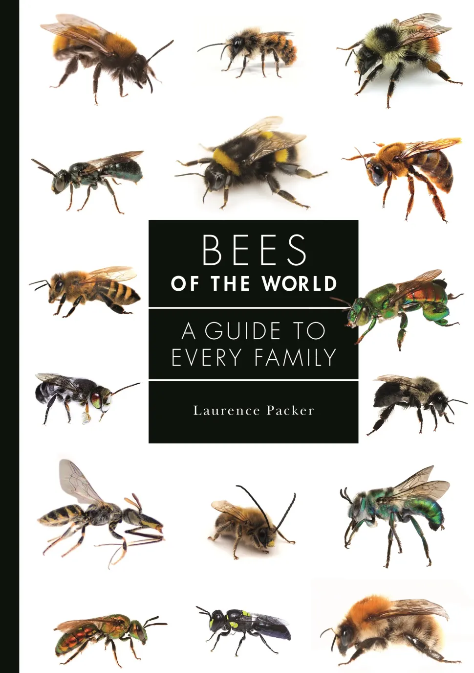 Bees of the World: A Guide to Every Family | Bog