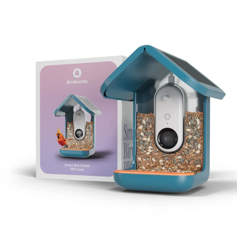 BirdBuddy Solar Pro foderstation med kamera og fuglegendelse