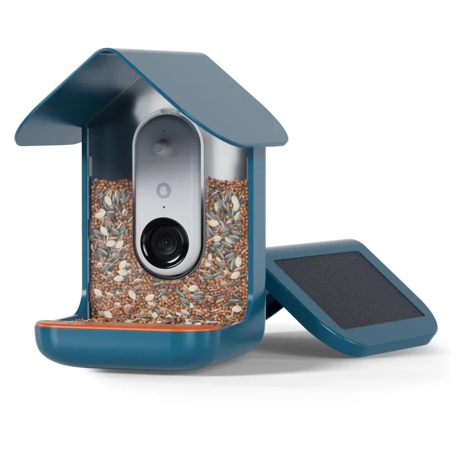 BirdBuddy Solar Pro foderstation med kamera og fuglegendelse