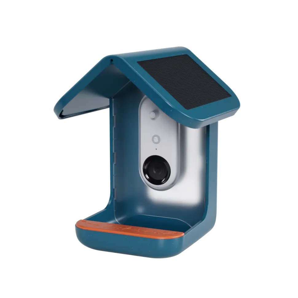 BirdBuddy Solar Pro foderstation med kamera og fuglegendelse