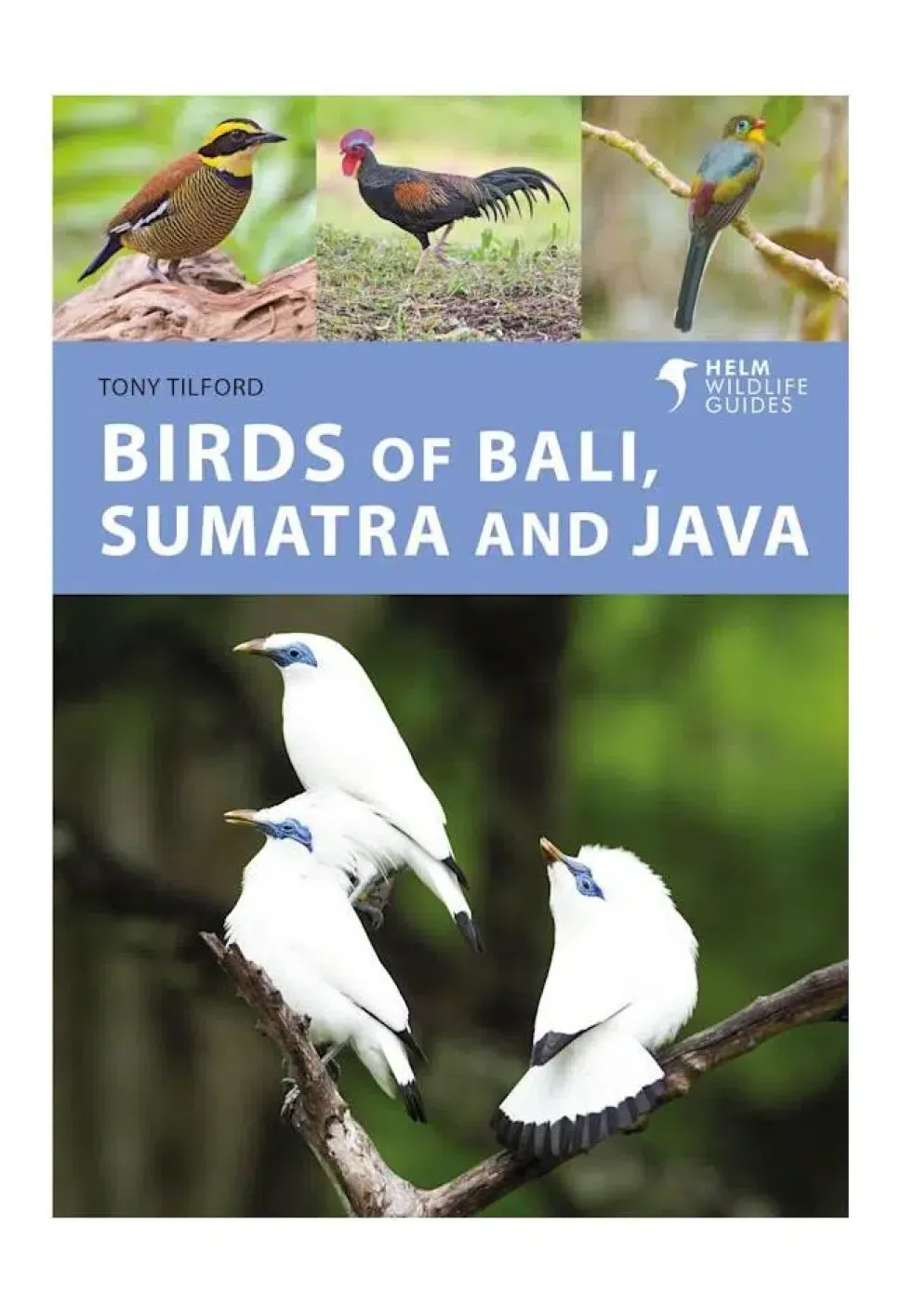Birds of Bali, Java & Sumatra | Bog