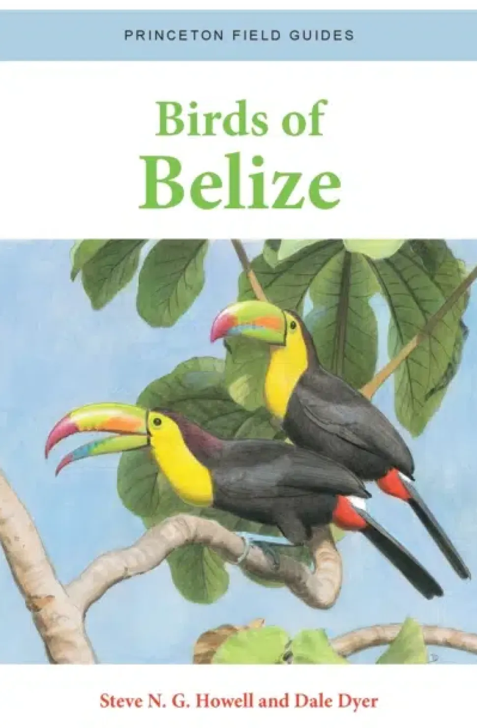 Birds of Belize | Bog