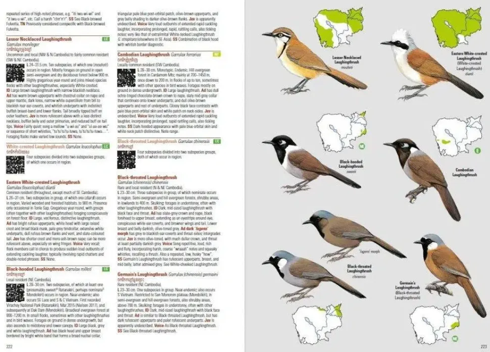 Birds of Cambodia | Bog