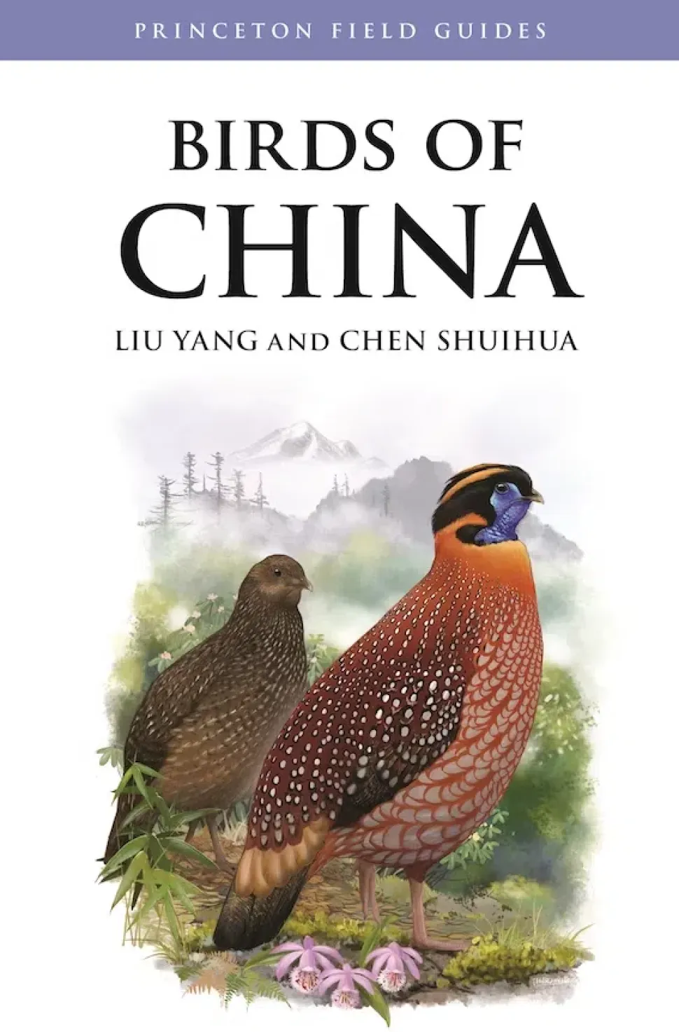 Birds of China feltguide | Bog