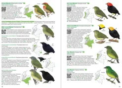 Birds of Colombia | Bog