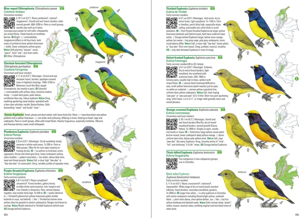 Birds of Colombia | Bog