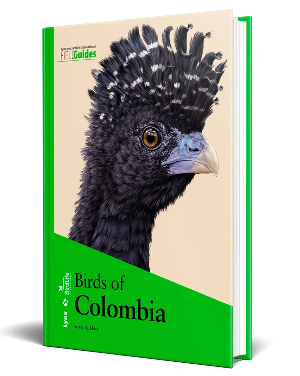 Birds of Colombia | Bog