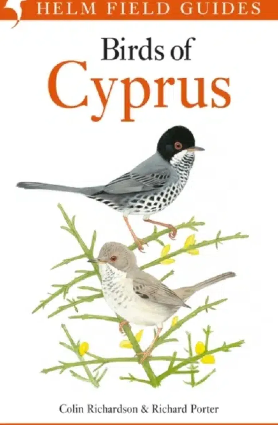 Birds of Cyprus | Bog