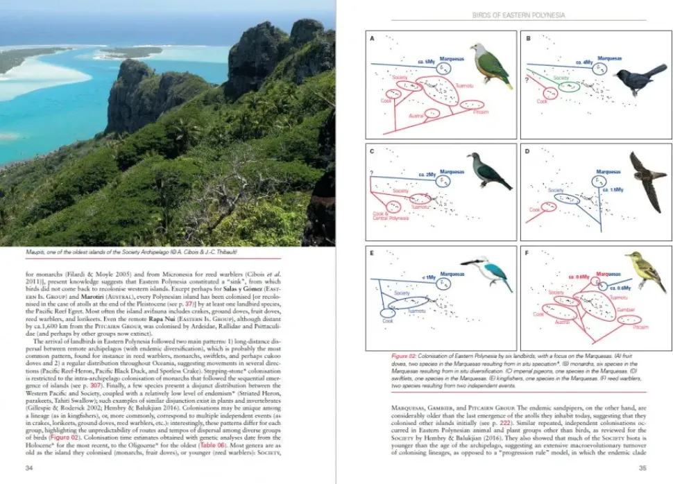 Birds of Eastern Polynesia | Bog