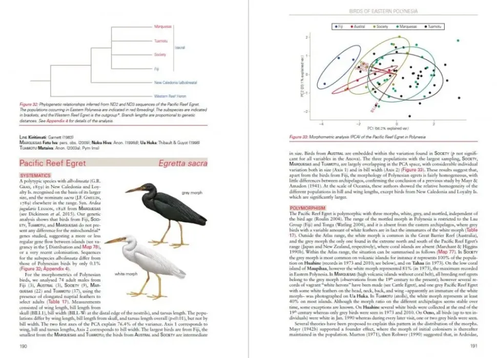 Birds of Eastern Polynesia | Bog