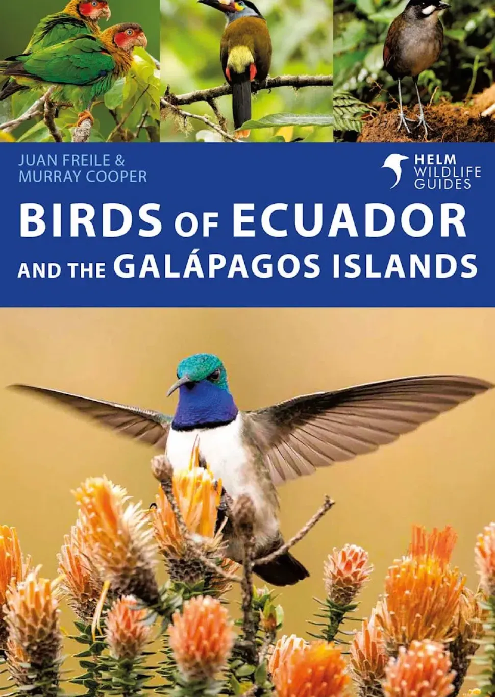 Birds of Ecuador and the Galapagos Islands | Bog