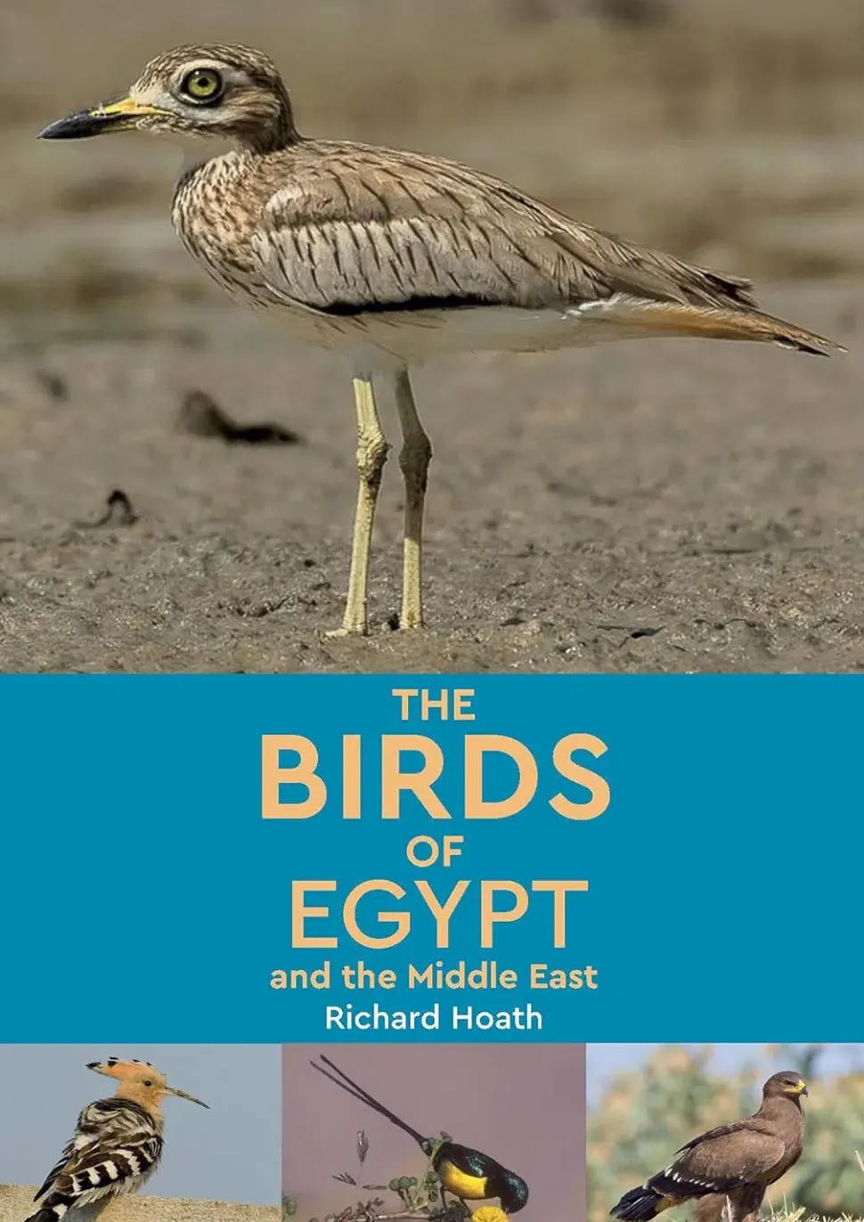 Birds of Egypt & The Middle East | Bog