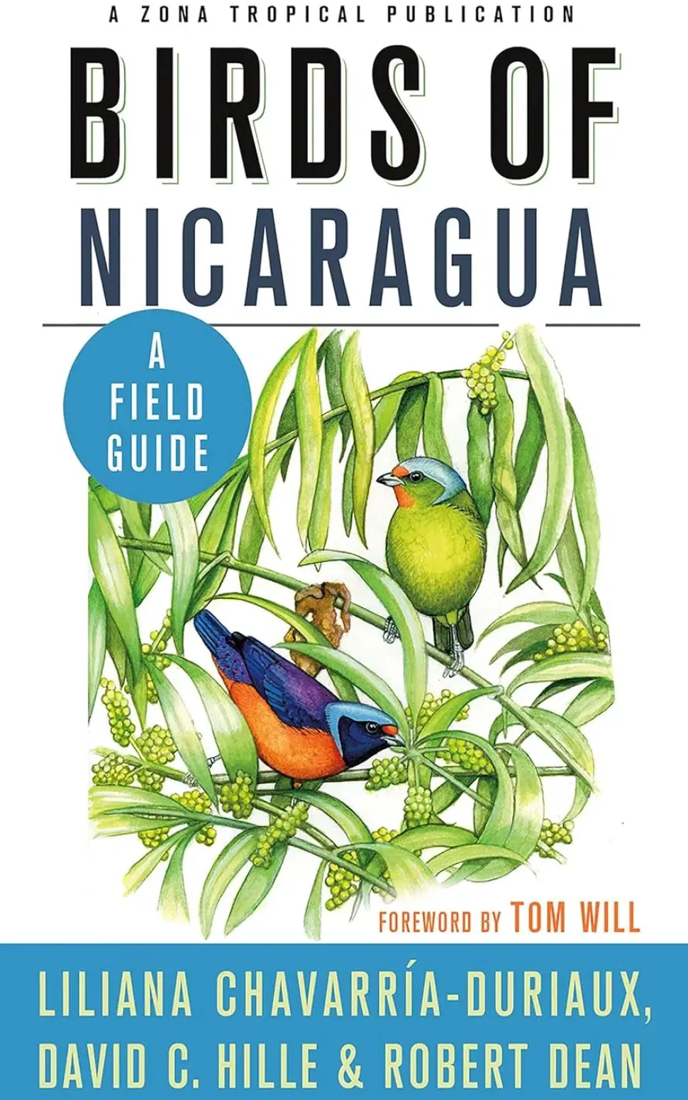 Birds of Nicaragua | Bog