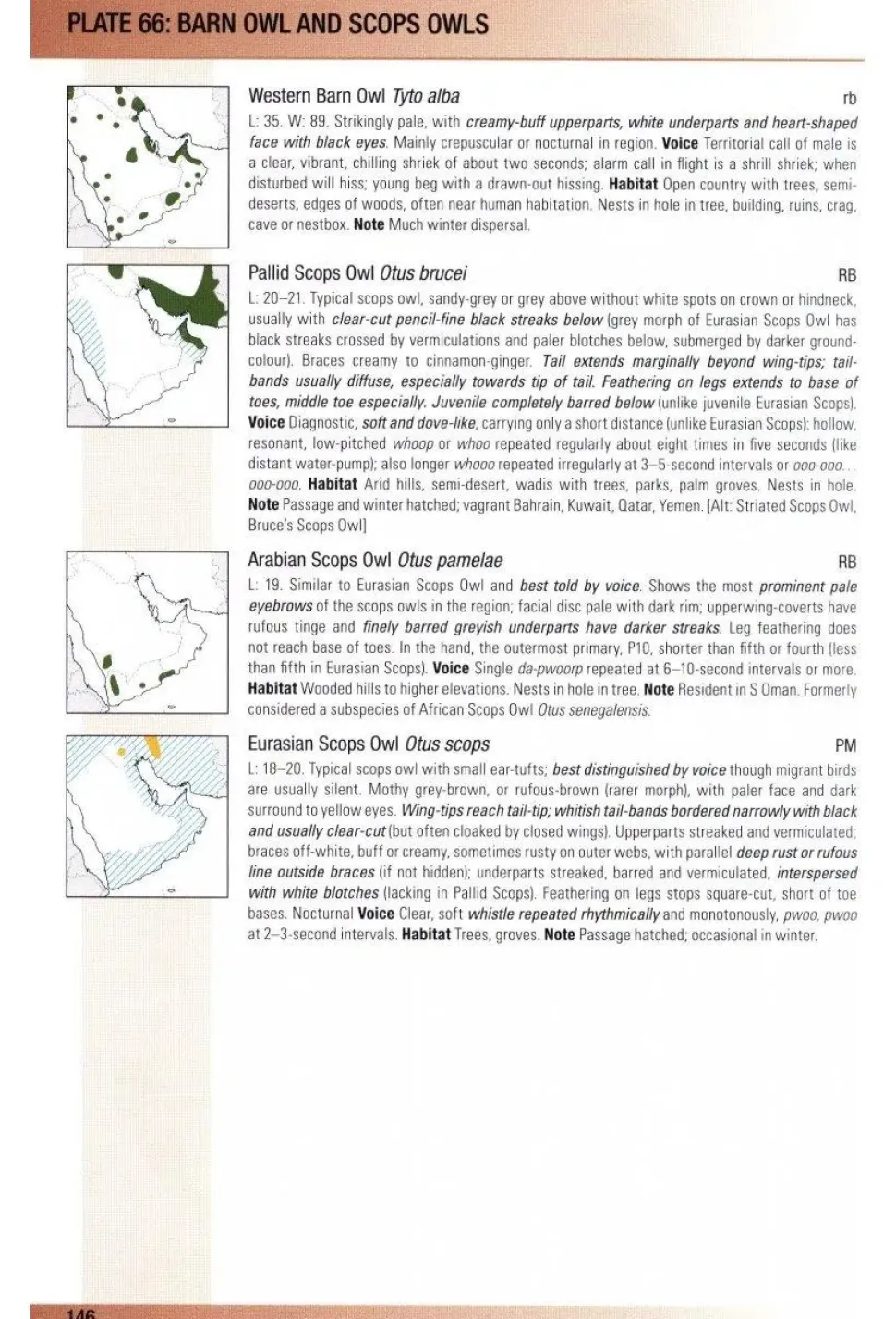 Birds of Oman | Bog