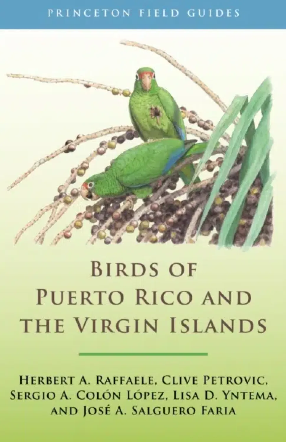 Birds of Puerto Rico and The Virgin Islands | Bog