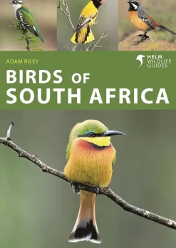 Birds of South Africa – Lille fotoguide | Bog