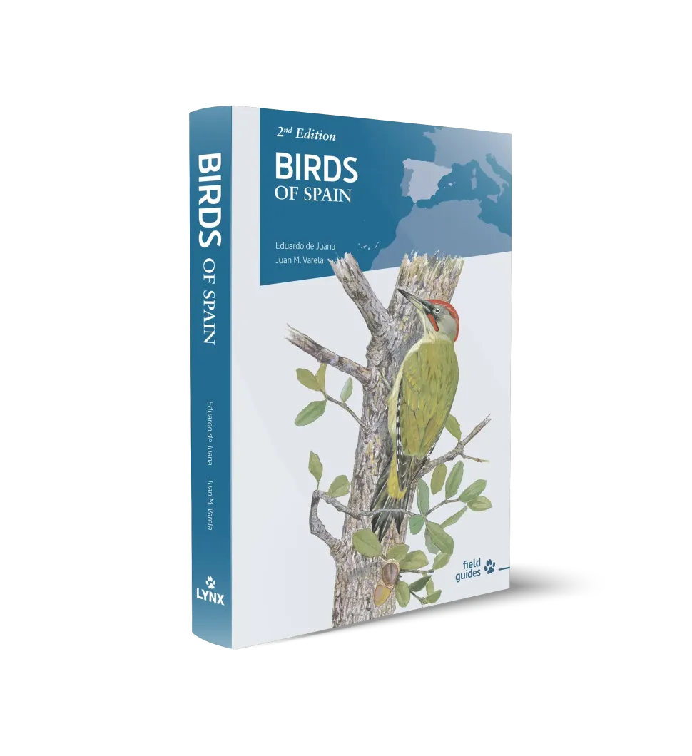 Birds of Spain | Bog