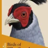 Birds of Thailand | Bog