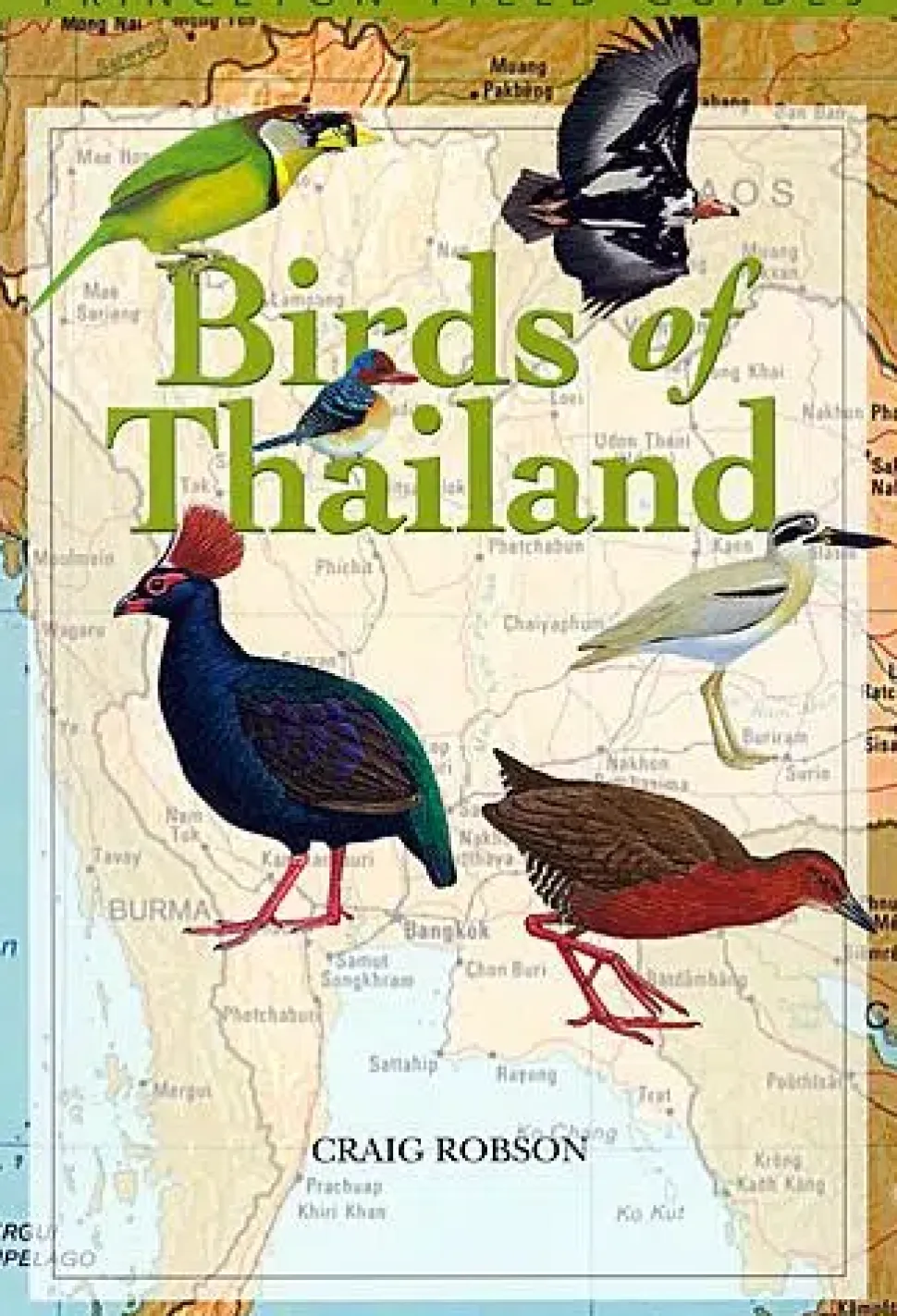 Birds of Thailand | Bog