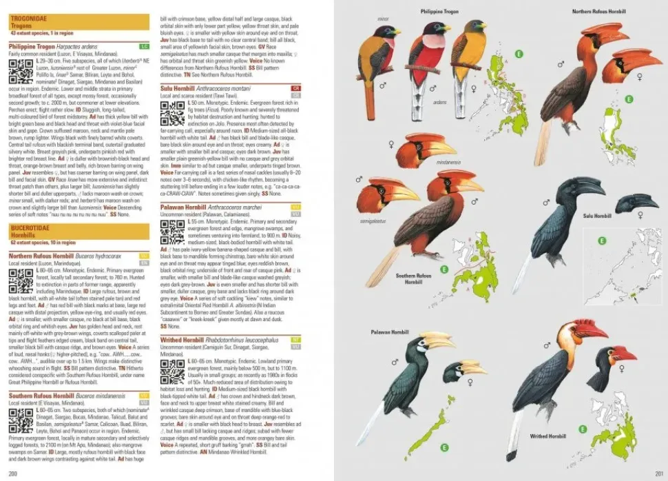 Birds of the Philippines | Bog