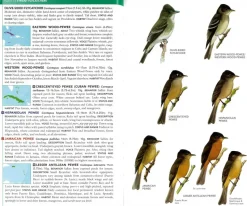Birds of the West Indies