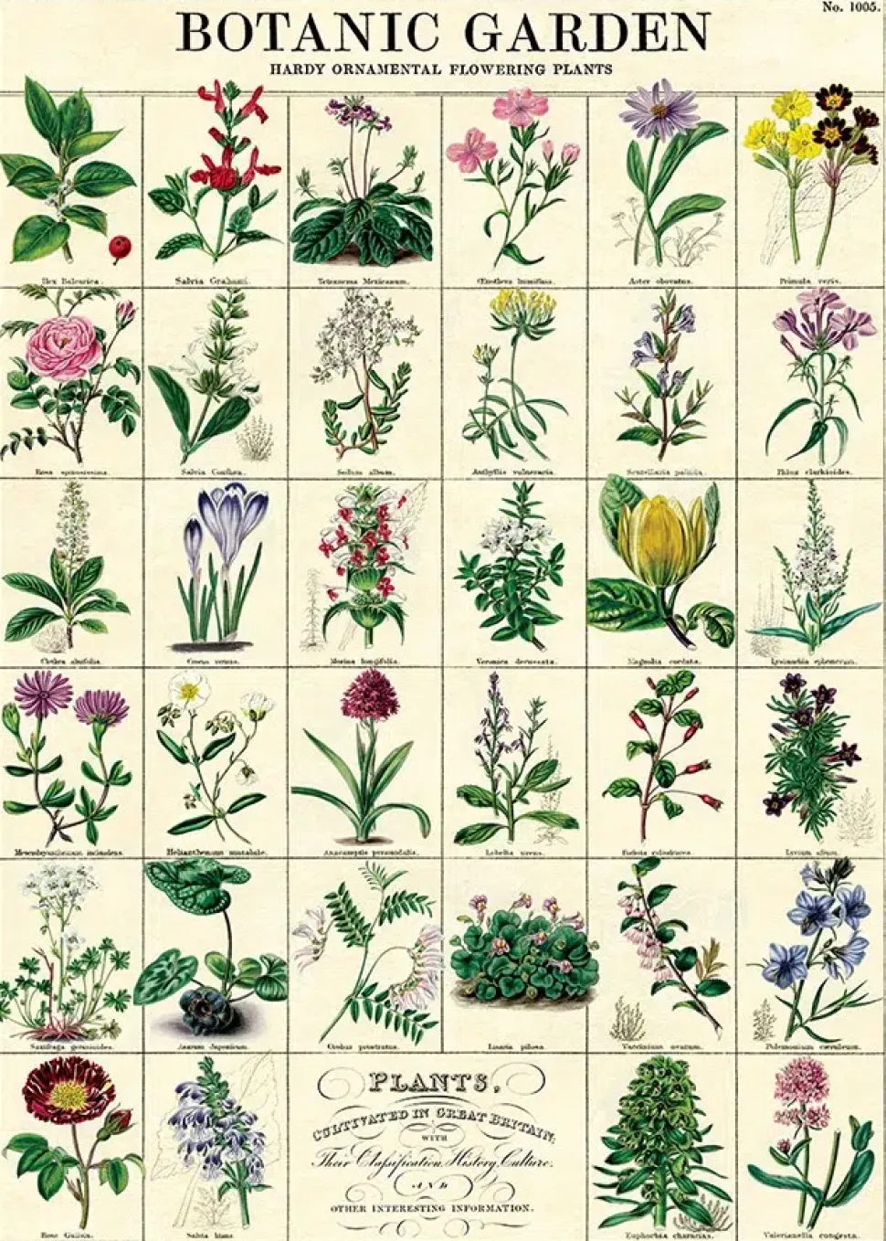 Botanic Garden plakat