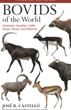 Bovids of the World | Bog