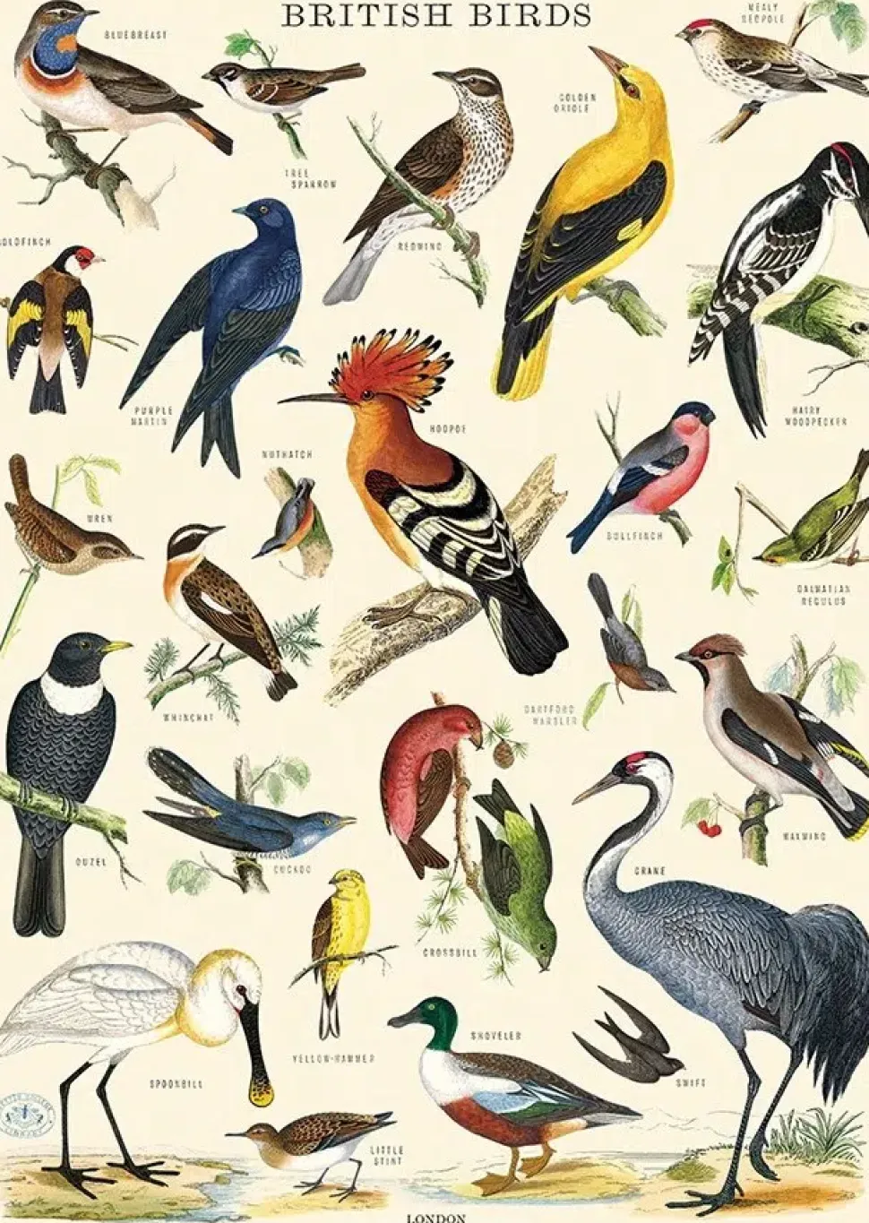 British Birds plakat