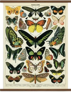 Butterflies stor plakat