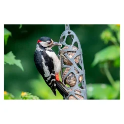 CJ Wildlife Singing Friend Sam fedtkugleholder – 100 % genbrug