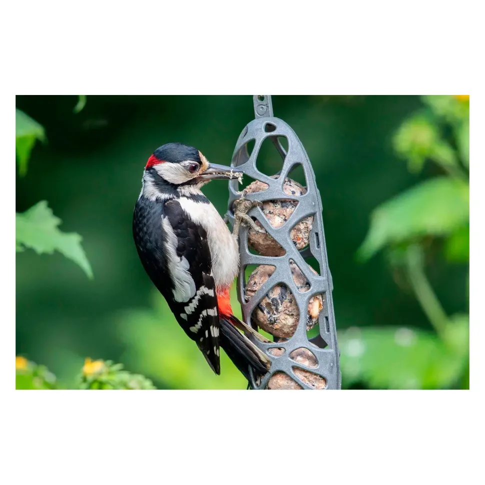 CJ Wildlife Singing Friend Sam fedtkugleholder – 100 % genbrug