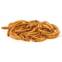 CJ Wildlife Tørrede melorme 50 gram