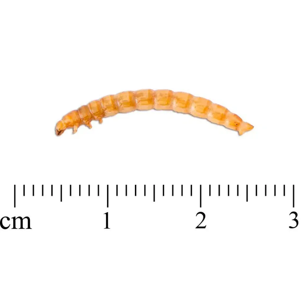 CJ Wildlife Tørrede melorme 50 gram