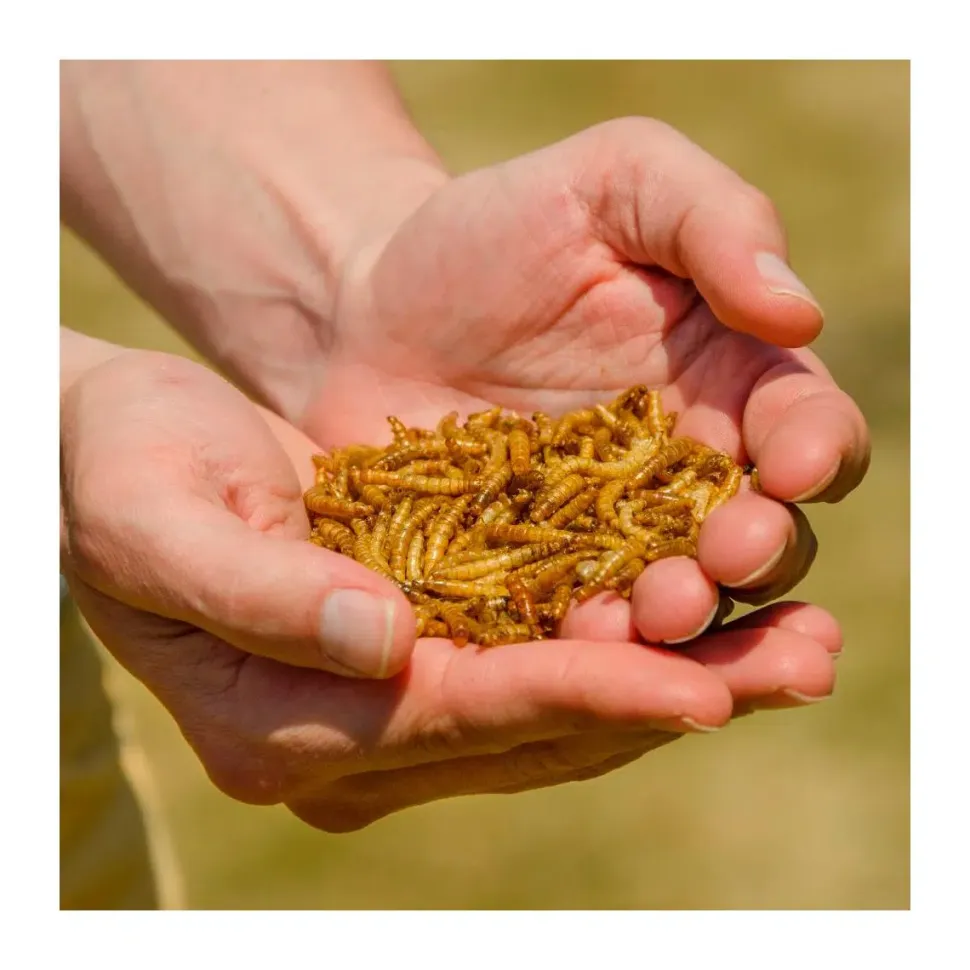 CJ Wildlife Tørrede melorme 50 gram