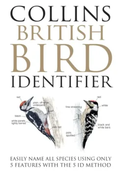 Collins British Bird Identifier | Bog
