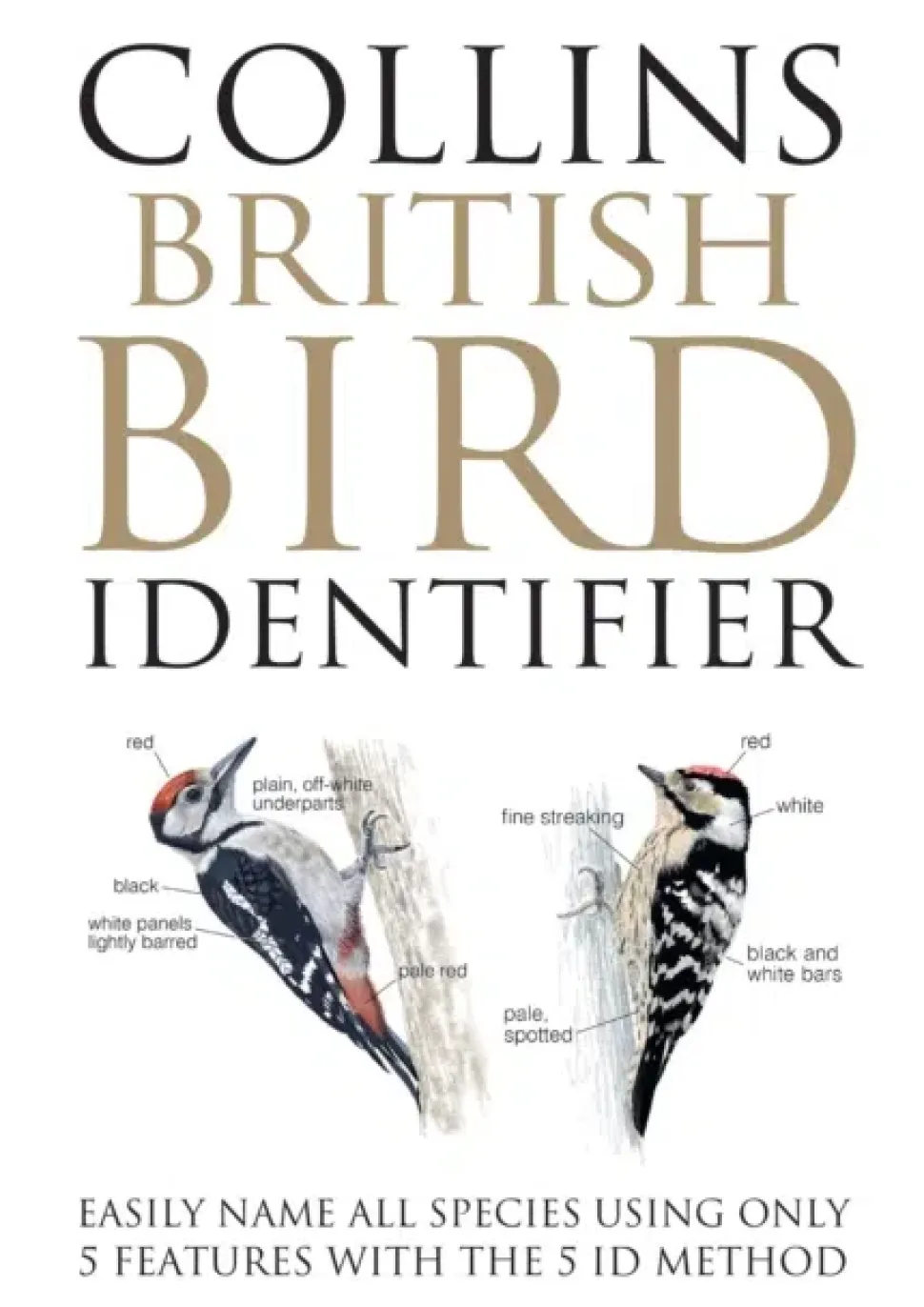 Collins British Bird Identifier | Bog