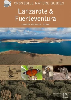 Crossbill Guides: Lanzarote and Fuerteventura | Rejseguide