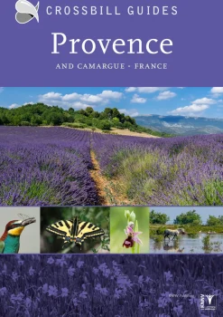 Crossbill Guides: Provence | Rejseguide