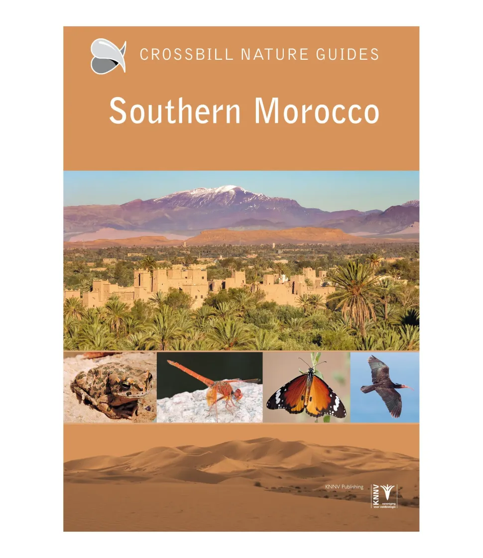 Crossbill Guides: Southern Morocco | Rejseguide